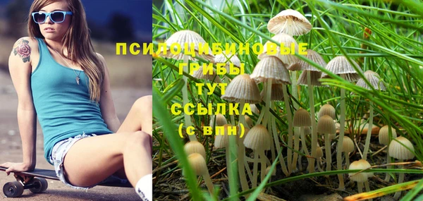 кристаллы Алзамай