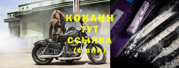 прущие крисы Алексин