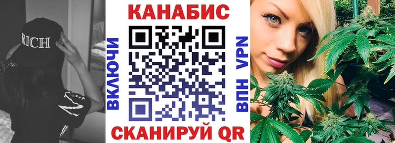 Бошки Шишки THC 21%  Купить закладки  Торопец 